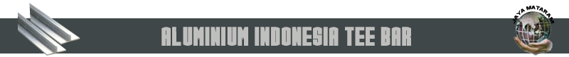aluminium profil tee bar